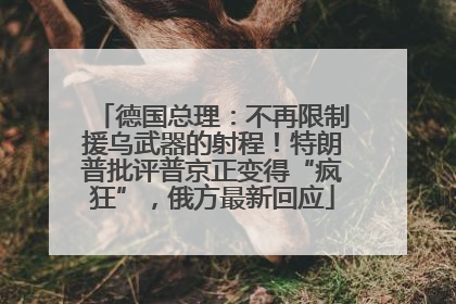德国总理：不再限制援乌武器的射程！特朗普批评普京正变得“疯狂”，俄方最新回应